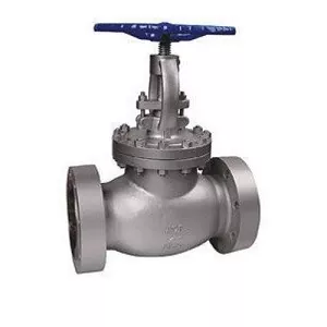 DN200 BS Globevalve